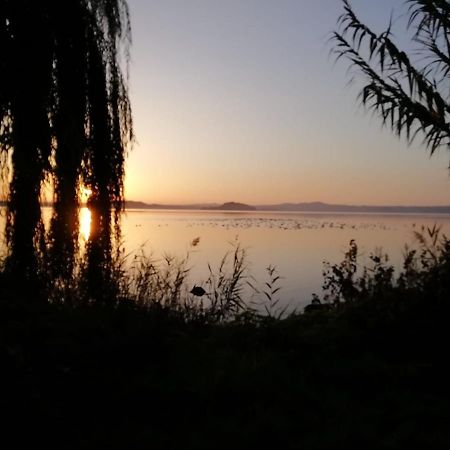 La Fenice Montefiascone Zewnętrze zdjęcie