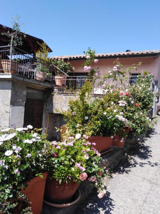 La Fenice Montefiascone Zewnętrze zdjęcie