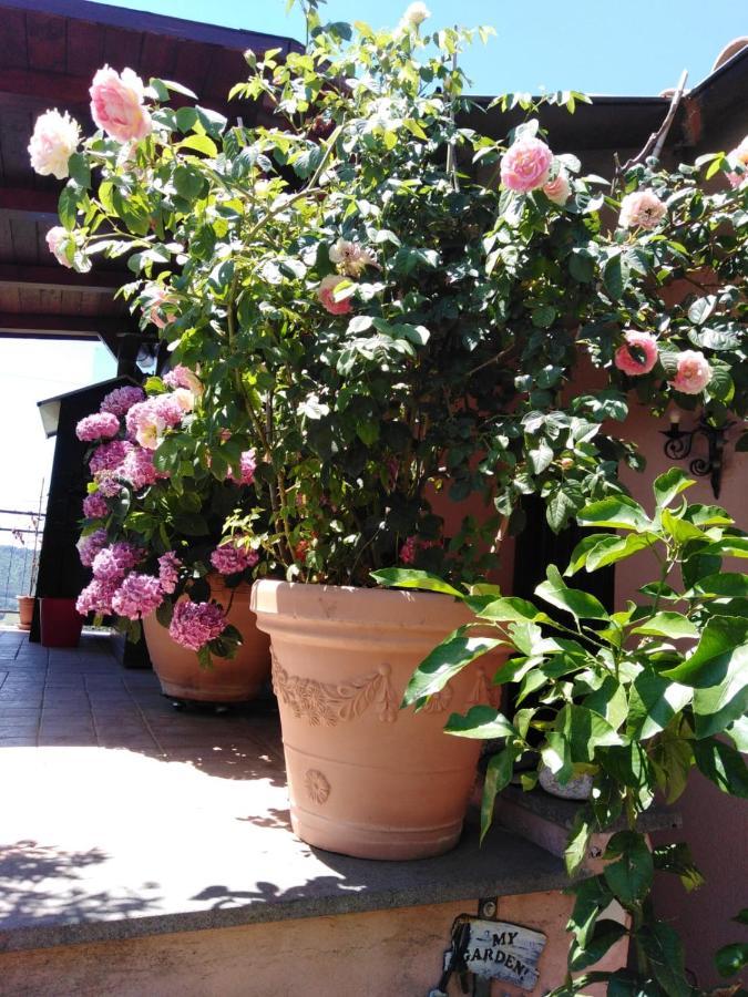 La Fenice Montefiascone Zewnętrze zdjęcie
