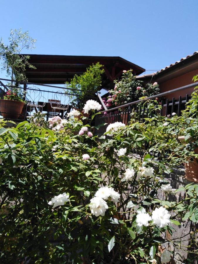 La Fenice Montefiascone Zewnętrze zdjęcie