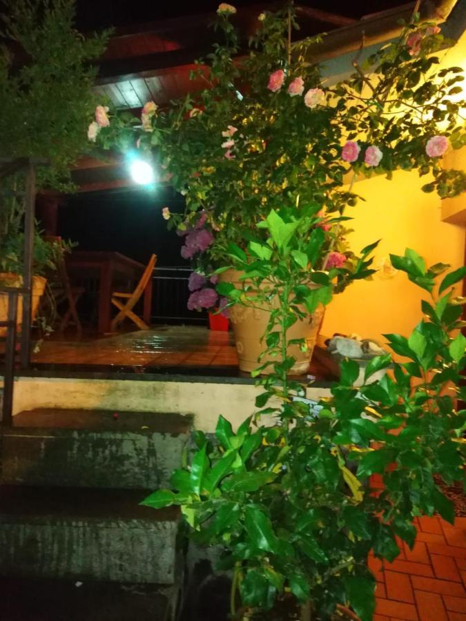 La Fenice Montefiascone Zewnętrze zdjęcie