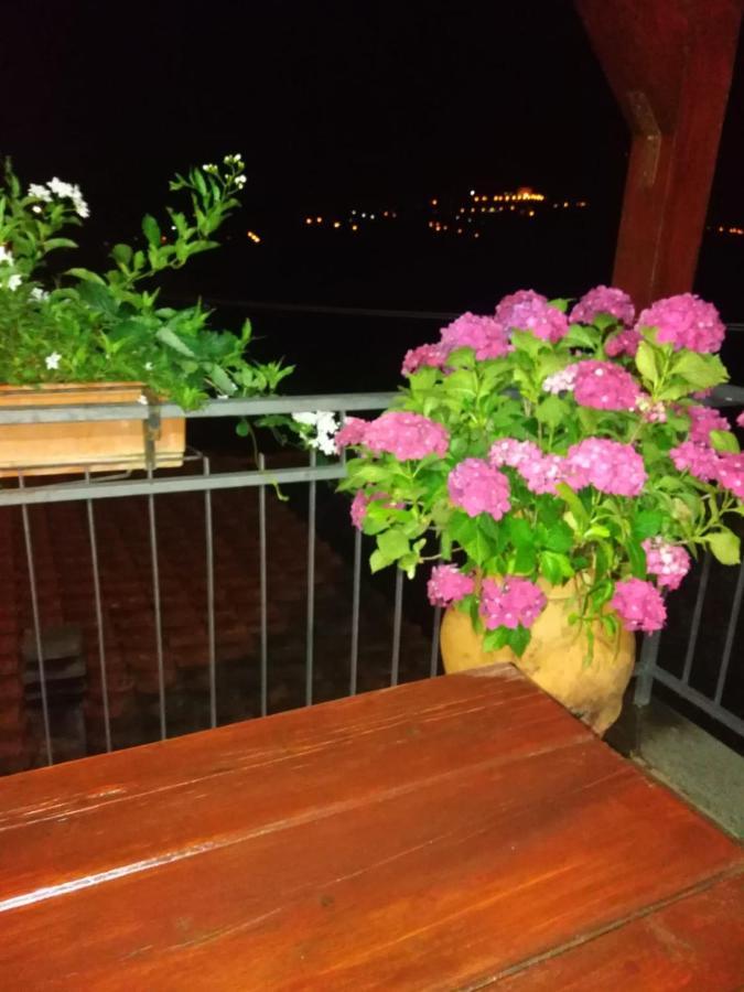 La Fenice Montefiascone Zewnętrze zdjęcie