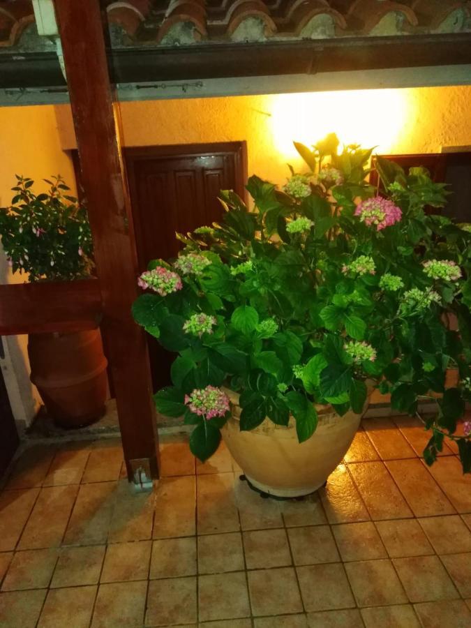 La Fenice Montefiascone Zewnętrze zdjęcie