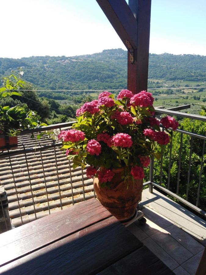 La Fenice Montefiascone Zewnętrze zdjęcie