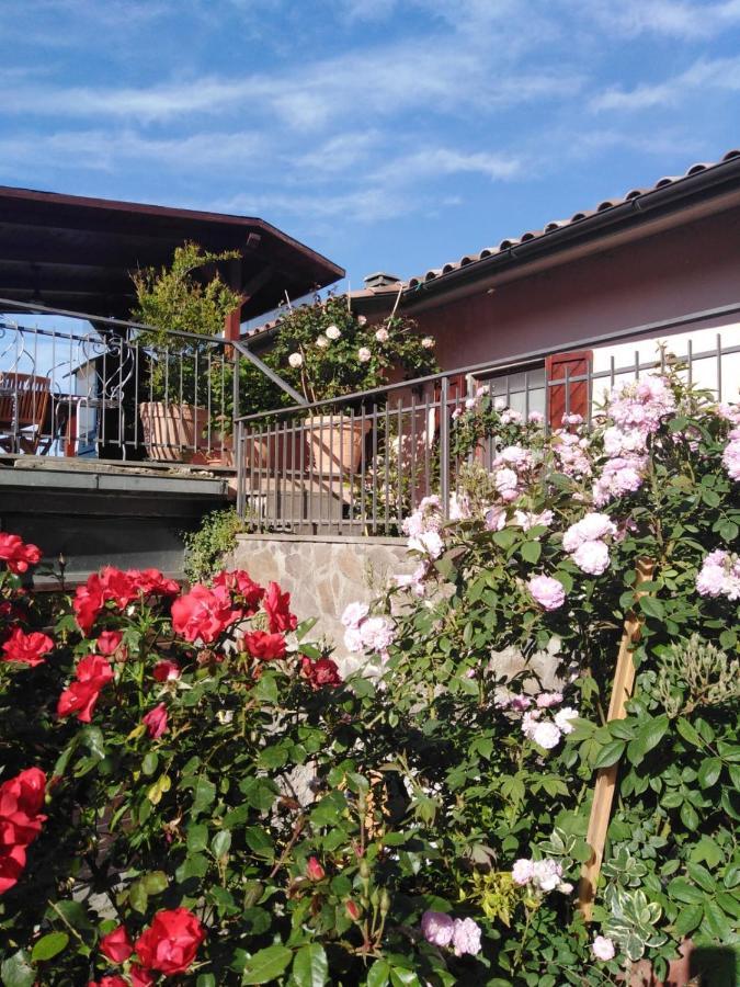 La Fenice Montefiascone Zewnętrze zdjęcie