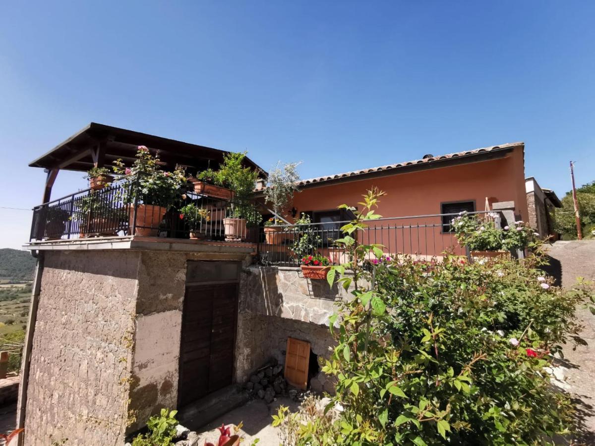 La Fenice Montefiascone Zewnętrze zdjęcie