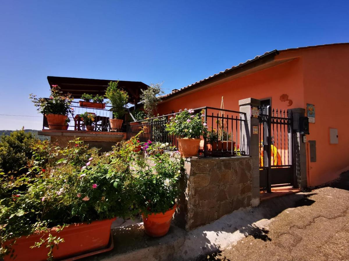 La Fenice Montefiascone Zewnętrze zdjęcie
