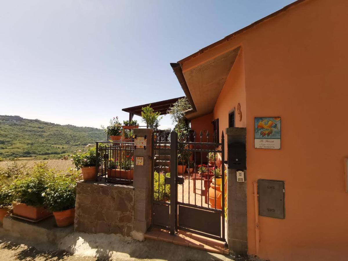 La Fenice Montefiascone Zewnętrze zdjęcie