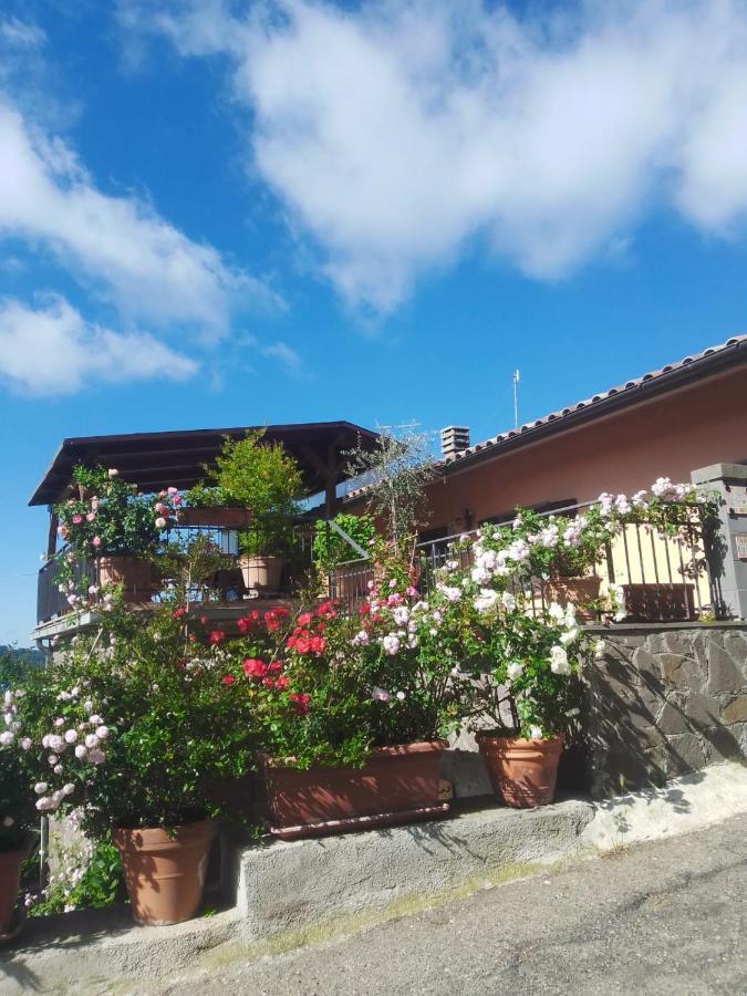 La Fenice Montefiascone Zewnętrze zdjęcie