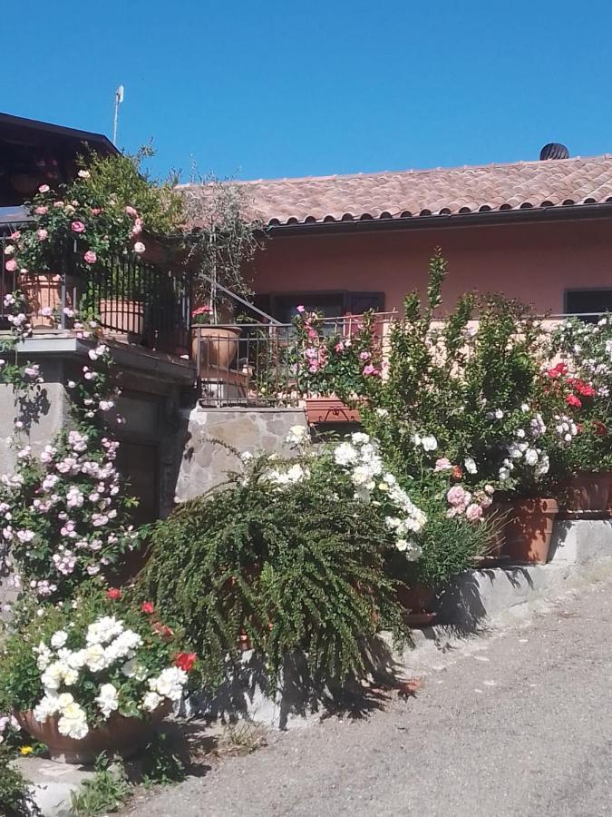 La Fenice Montefiascone Zewnętrze zdjęcie