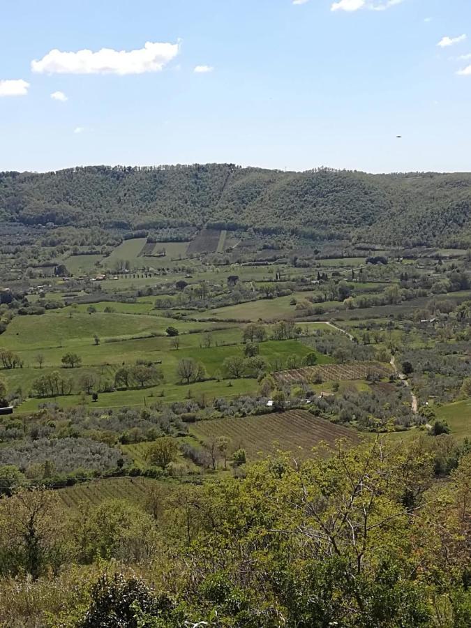 La Fenice Montefiascone Zewnętrze zdjęcie